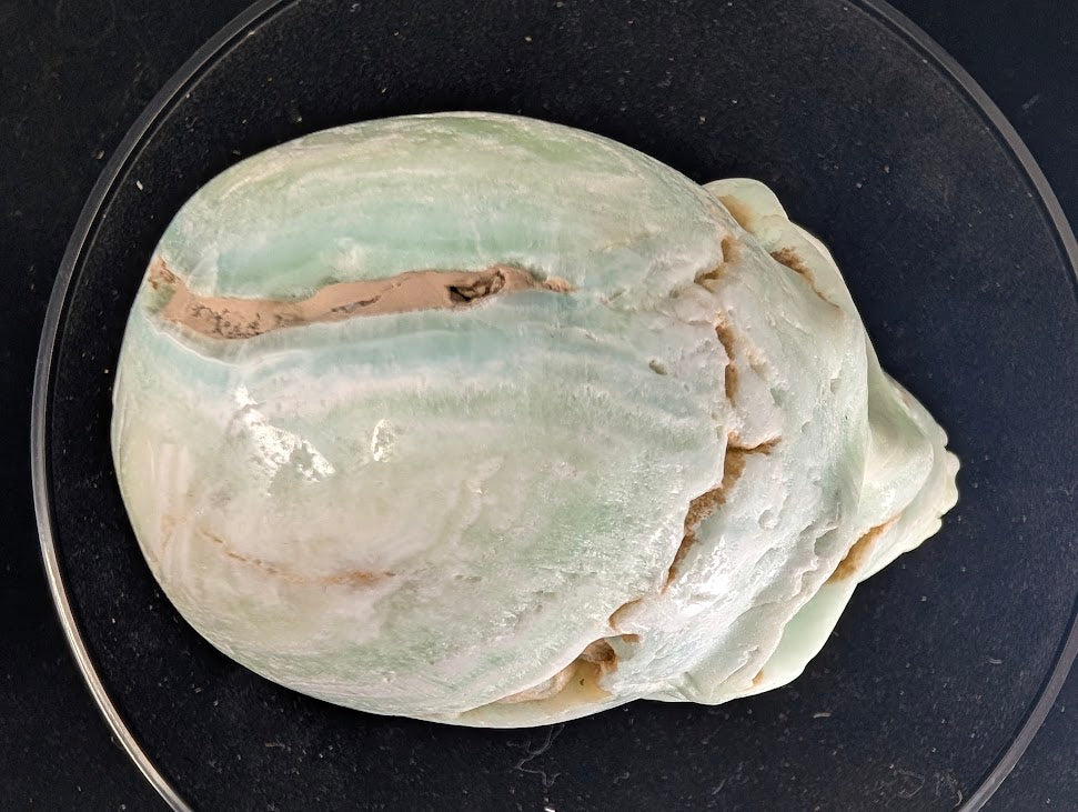 Blue Aragonite Skull – 1kg Hand-Carved Aqua Mineral Specimen