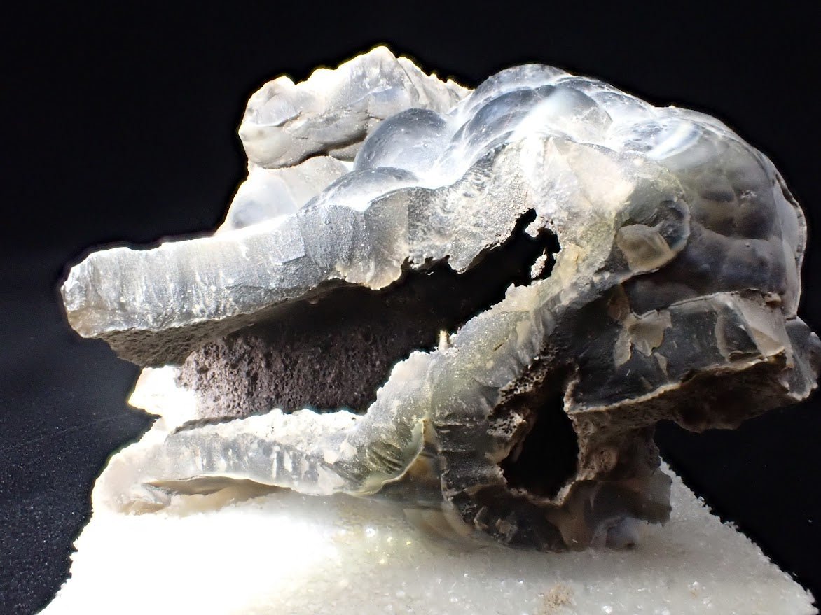 Agatized Coral – Fossilized Silica Beauty from Florida - Legacy Crystals and Minerals