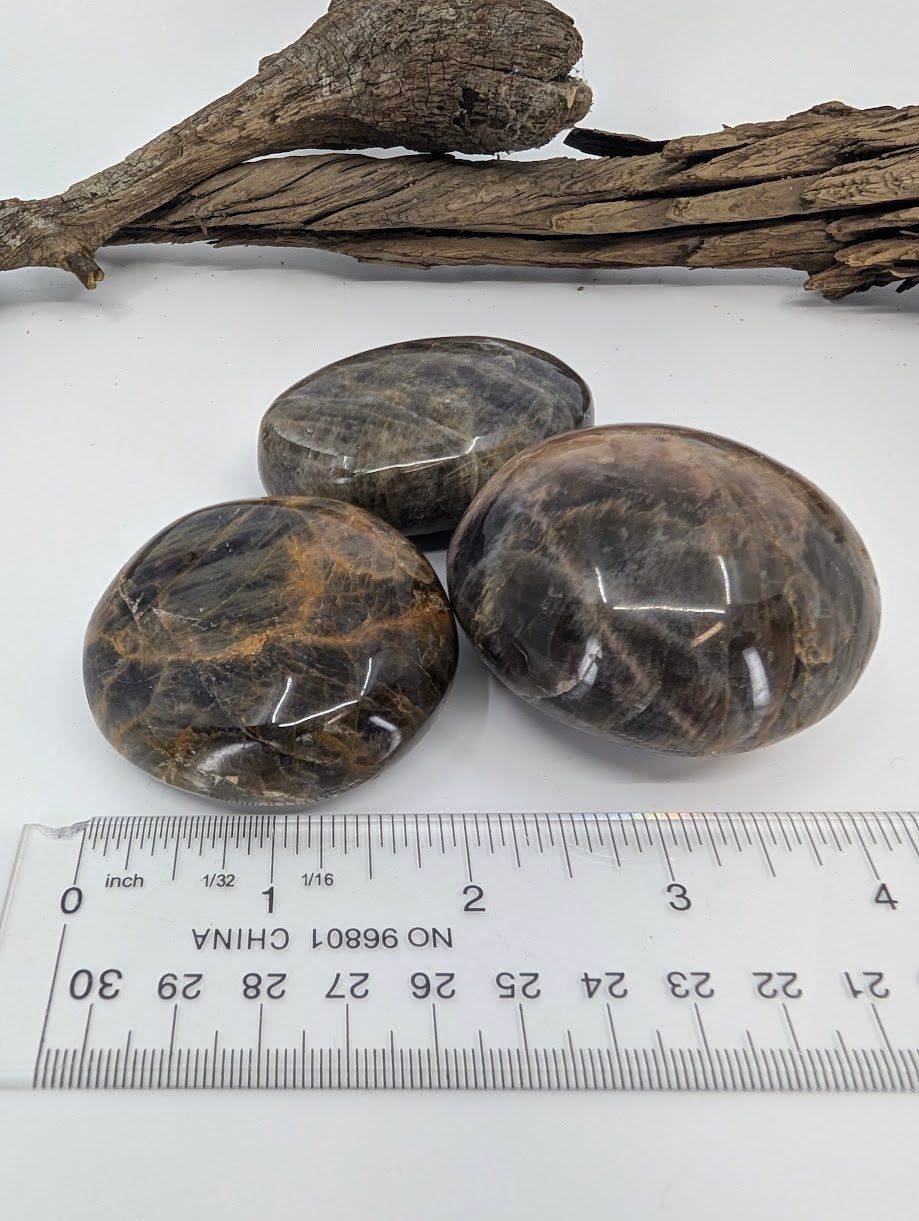 Black Moonstone palm stones grouped with ruler showing approximate palm stone sizing