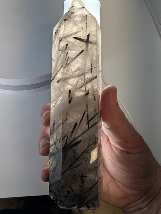 Backlit Black Tourmaline in Quartz showing clarity and structure
