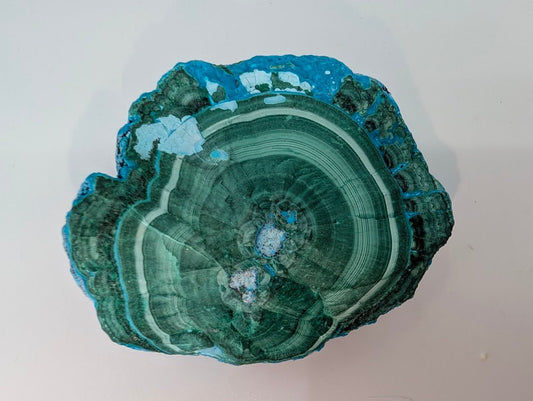 Congo Chrysocolla with Malachite – Botryoidal Specimen with Natural Base (363g) - Legacy Crystals and Minerals