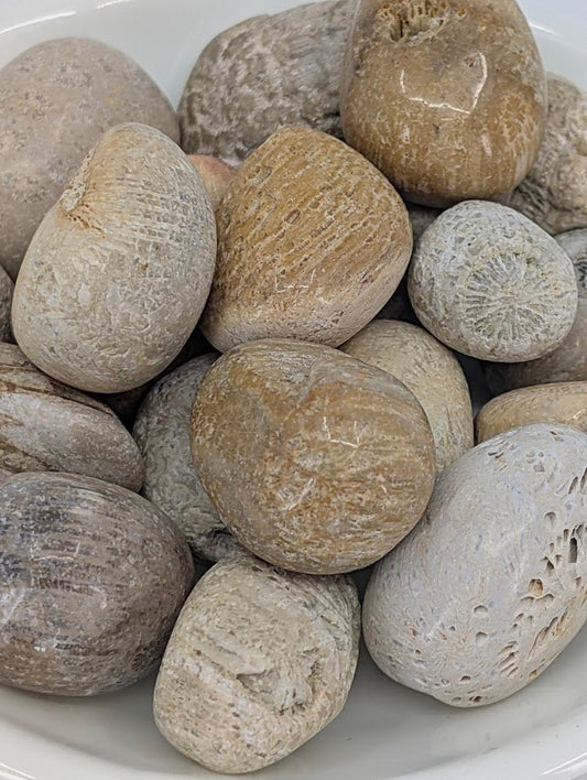 Close-up of Coral Jade tumbled stones showing fossilized coral texture