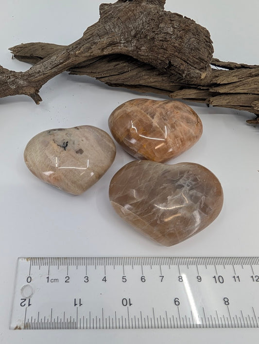 Angle view of polished beige Moonstone hearts on driftwood.
