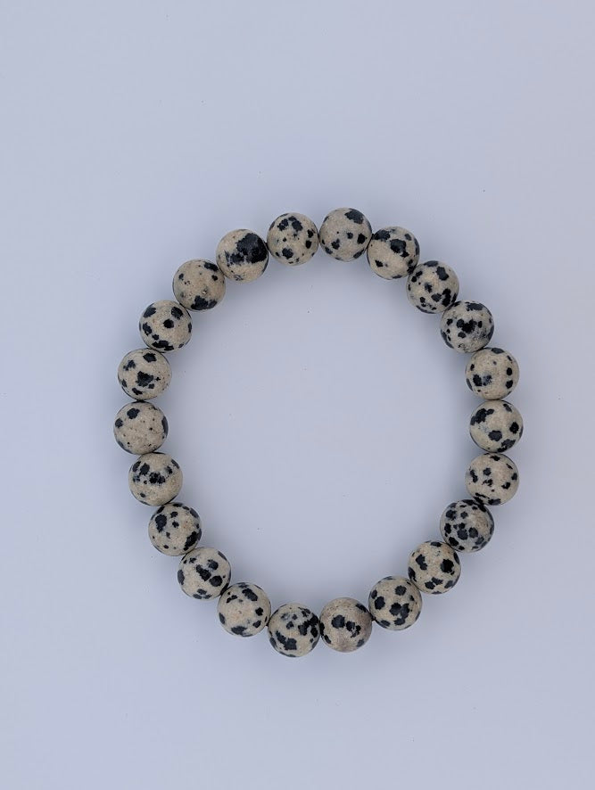 Overhead view of Dalmatian Jasper bracelet arranged in a circle