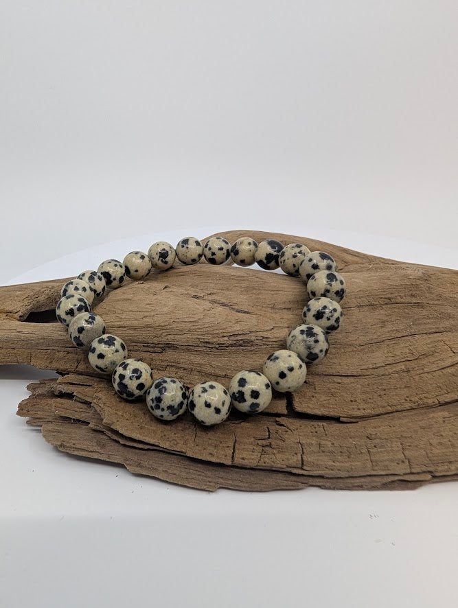 Dalmatian Jasper 8mm stretch bracelet on driftwood — full view