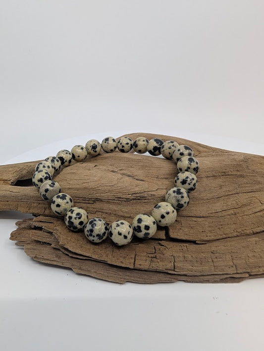 Dalmatian Jasper 8mm stretch bracelet on driftwood — full view