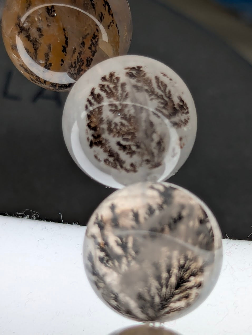 Close-up of translucent spheres with intricate patterns on a reflective surface.