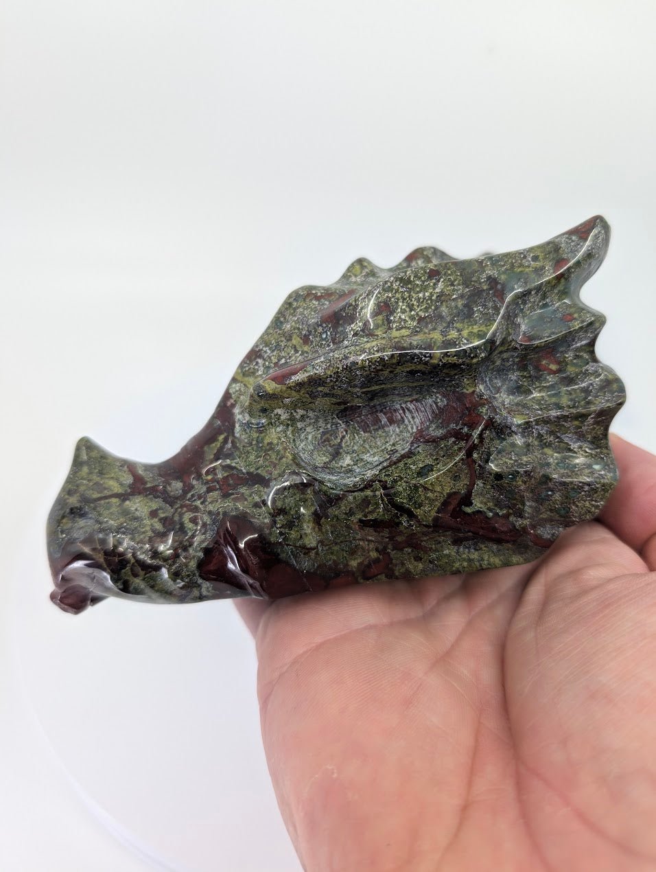 Handheld view of Dragon Blood Stone dragon head highlighting polish, texture, and coloration