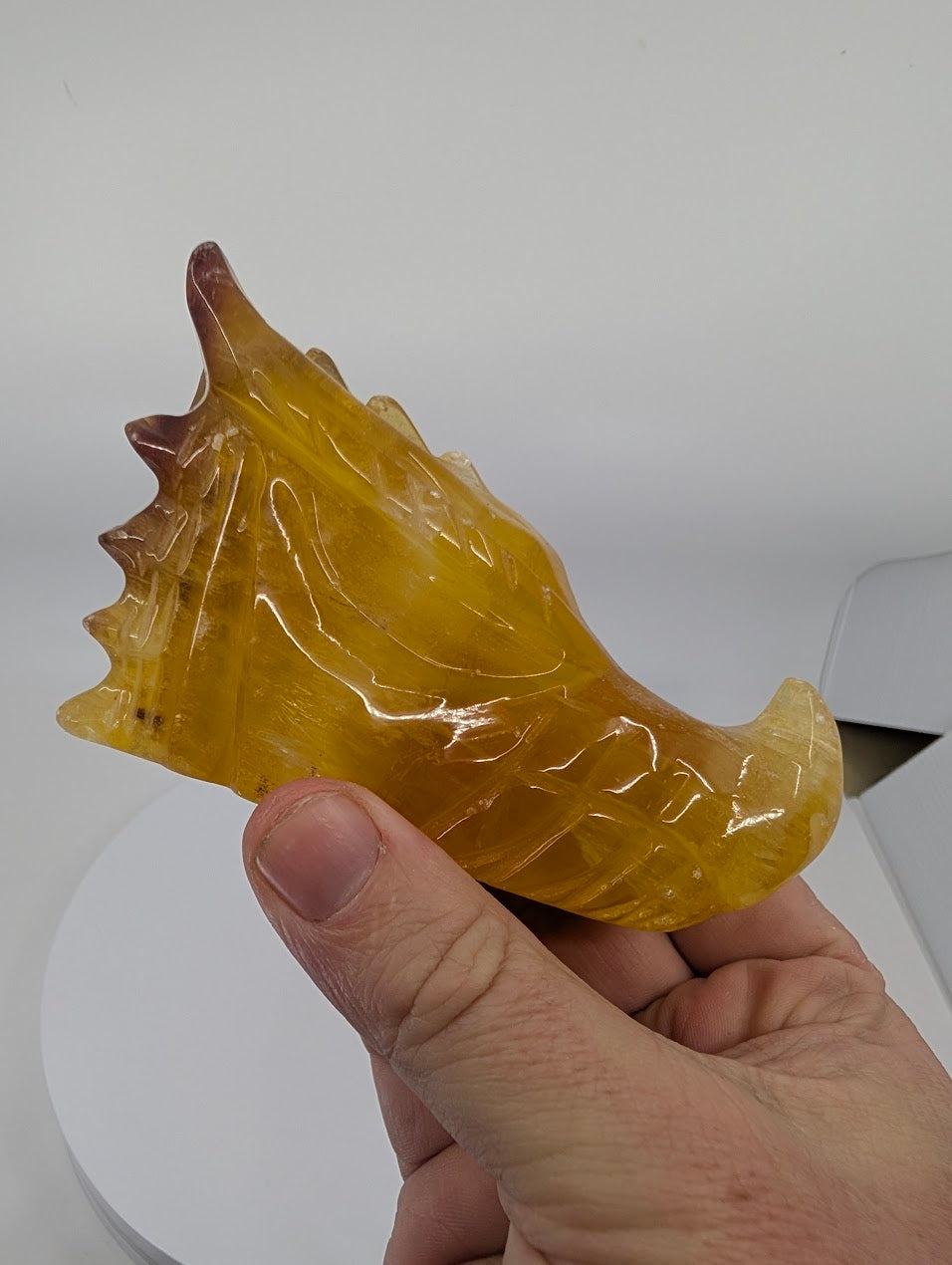 Fluorite Dragon Head Variant F, 465g, golden fluorite with subtle zoning, 10.5 × 4.5 × 6 cm