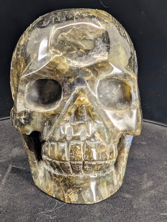 Labradorite skull, front view showing polished grey-green feldspar and carved teeth