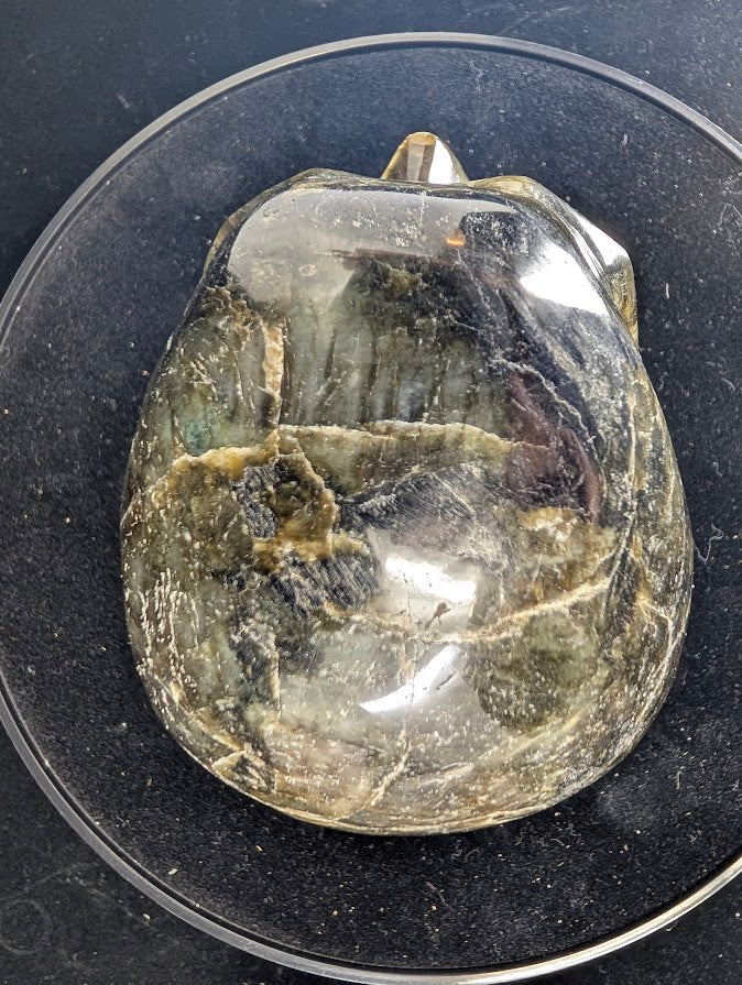 Top view of Labradorite skull highlighting banding, polish, and natural flash zones