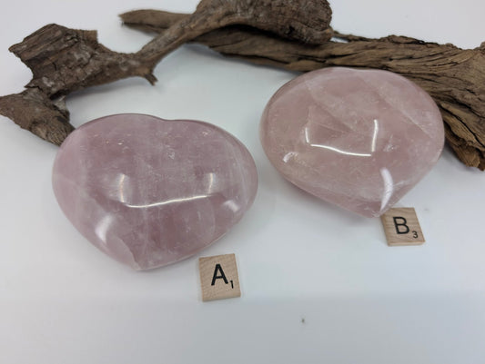 Backside of comparison of two massive Rose Quartz hearts, Specimen A and B, on driftwood.