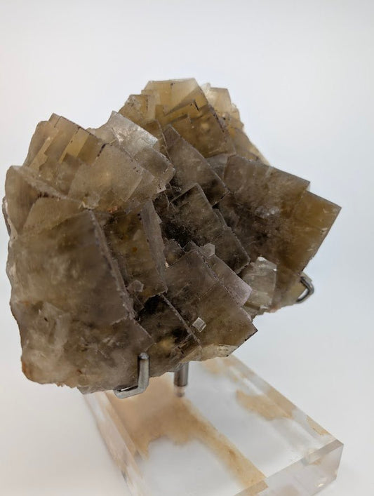 Large Yellow Fluorite Specimen – 9x7 Inches – From Beijing, China - Legacy Crystals and Minerals