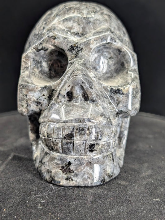 Larvikite skull, front view showing polished grey-black feldspar and carved teeth