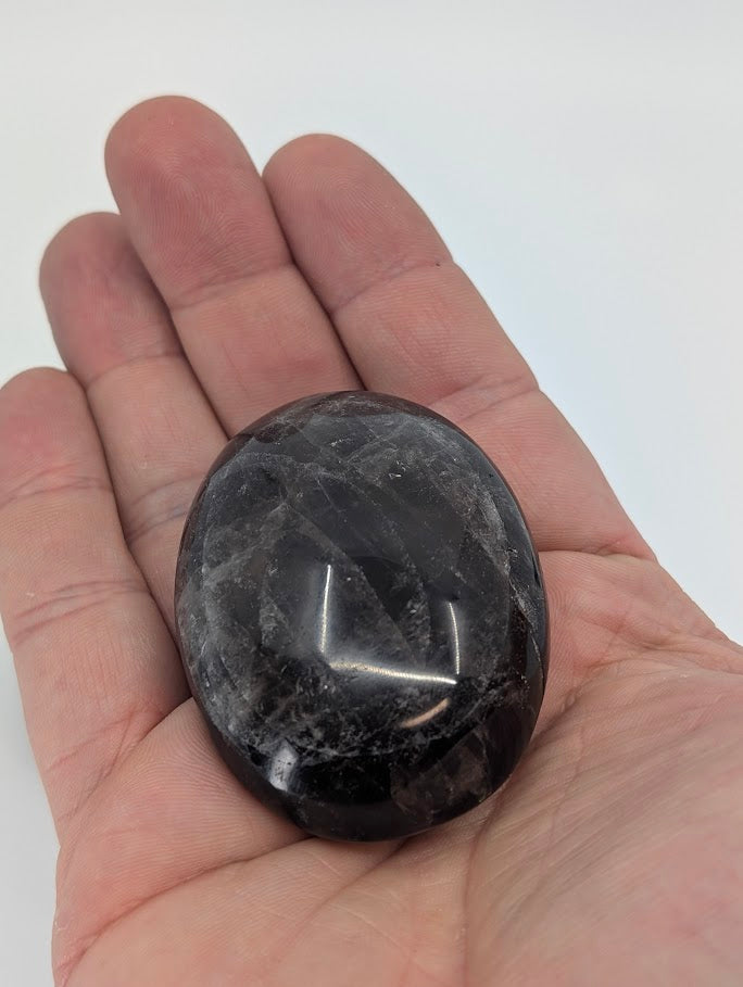 Palm in hand showing scale and finish