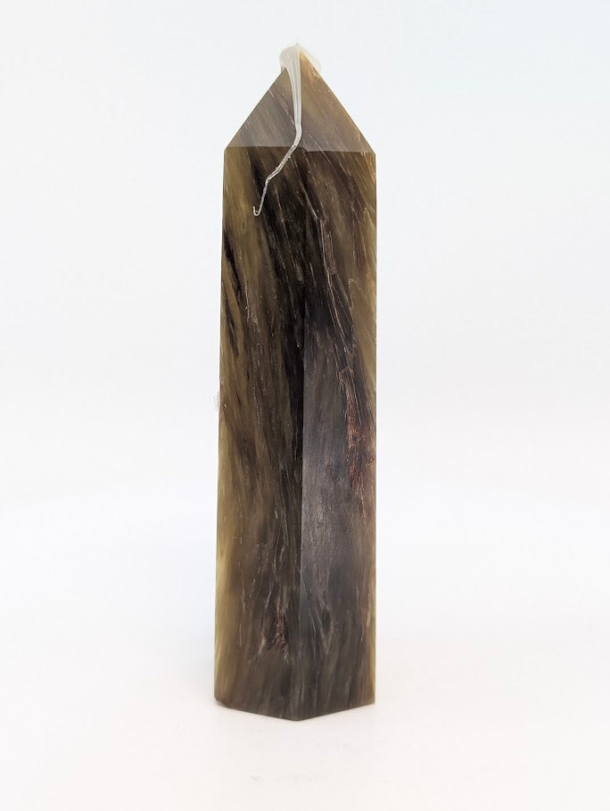 Left side showing dark fibrous striations and warm bronze tone