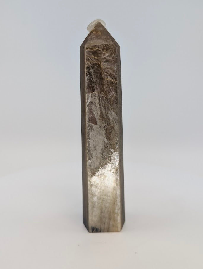 Back view revealing fibrous continuity and vertical grain