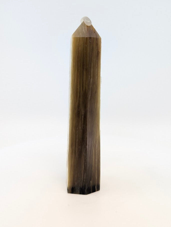 Left profile showing deep bronze fibers and transitional color zones