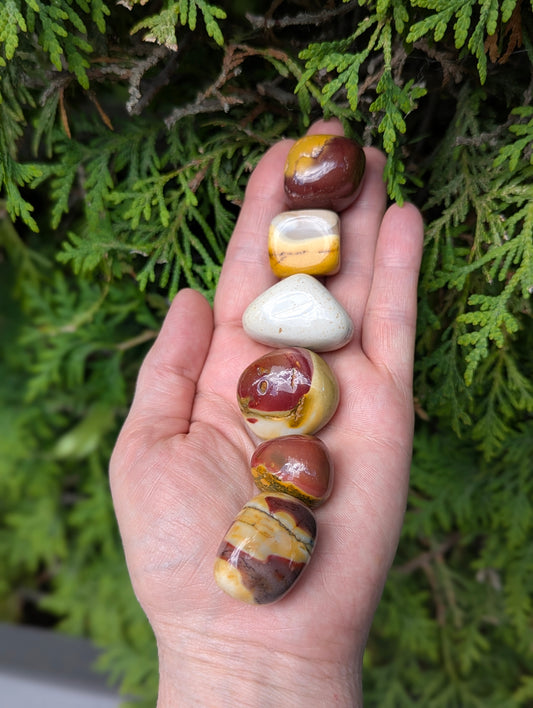 Six polished Mookaite tumbled stones stacked vertically in an open hand against a background of green foliage.