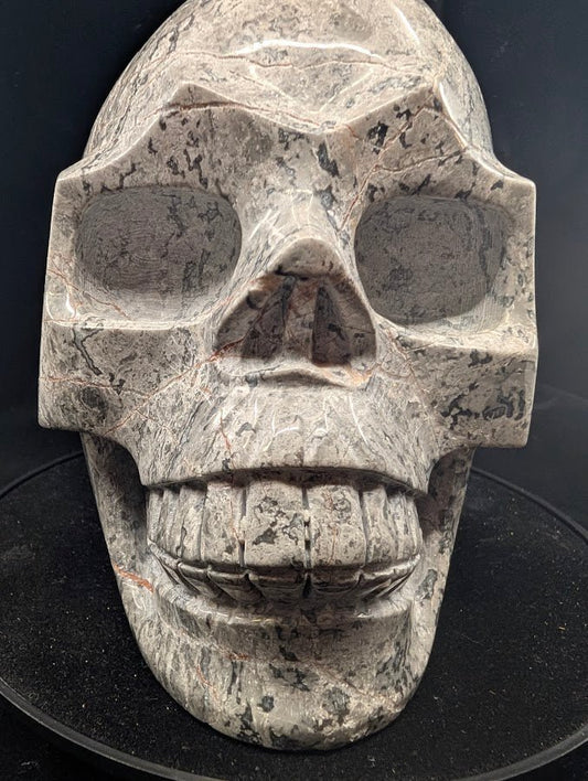 Close-up of face and teeth detailing with high-gloss finish