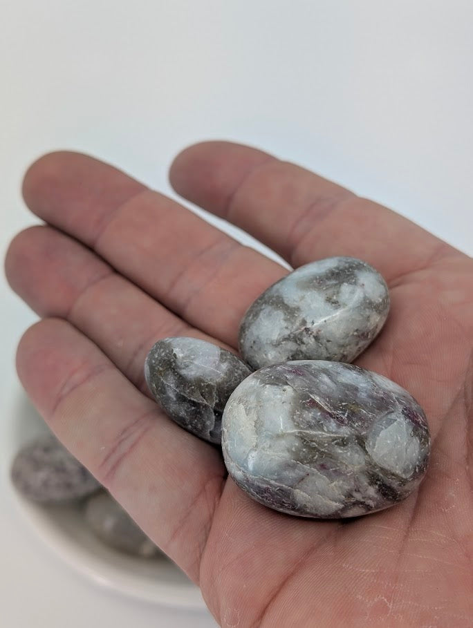 Pink Tourmaline in Quartz tumbled stones in hand for size reference