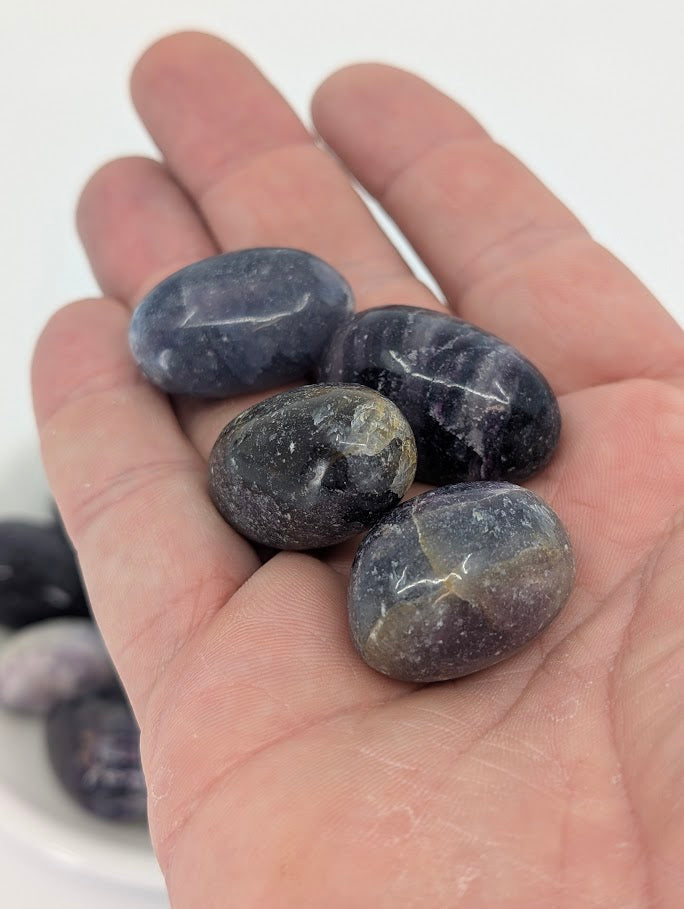 Purple Fluorite tumbled stones in hand for size reference