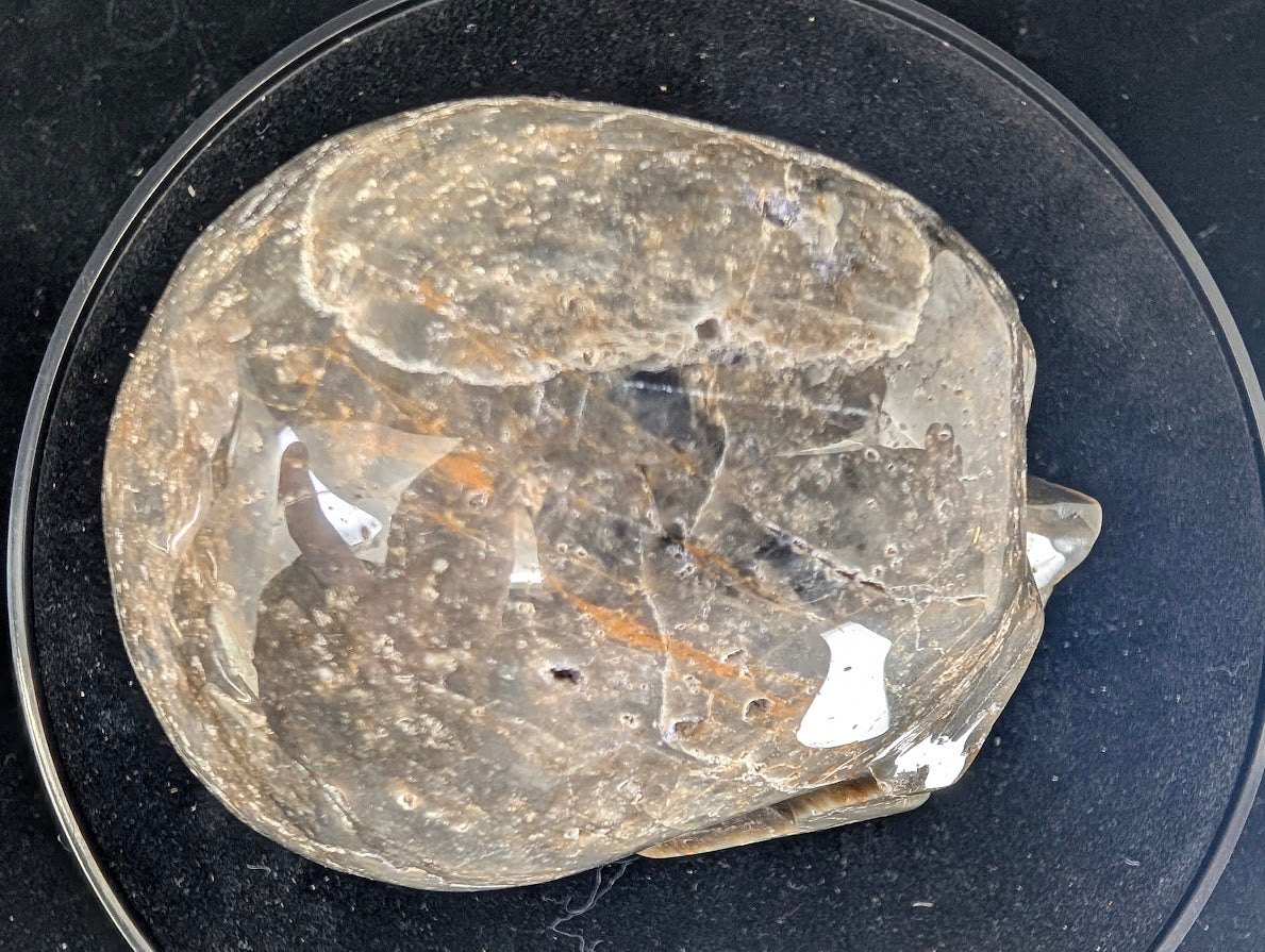 Top view of Purple Silk Fluorite Skull showing banded zoning and natural structure