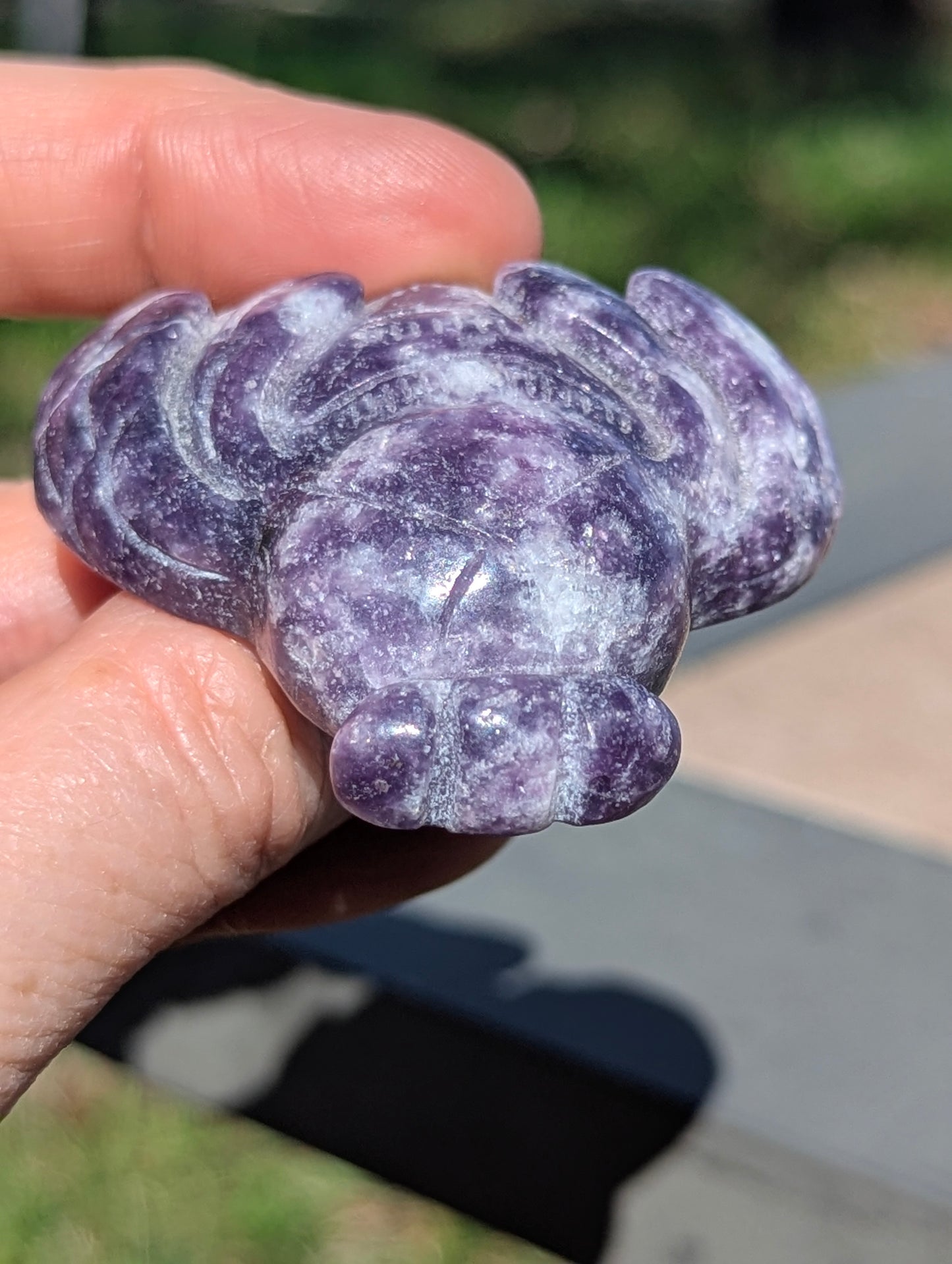Dream Amethyst Moth - carved