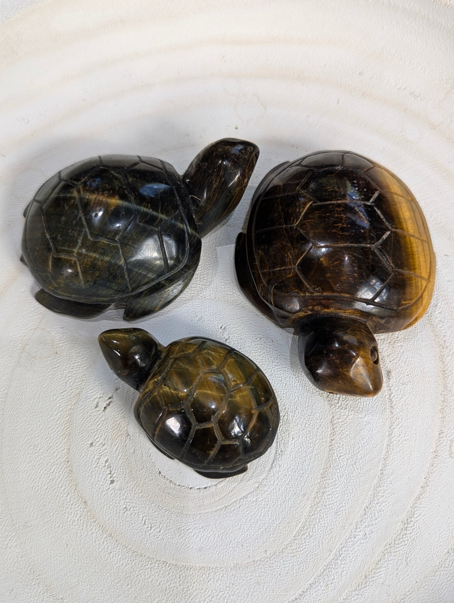 Tiger's Eye Sea Turtle Carvings