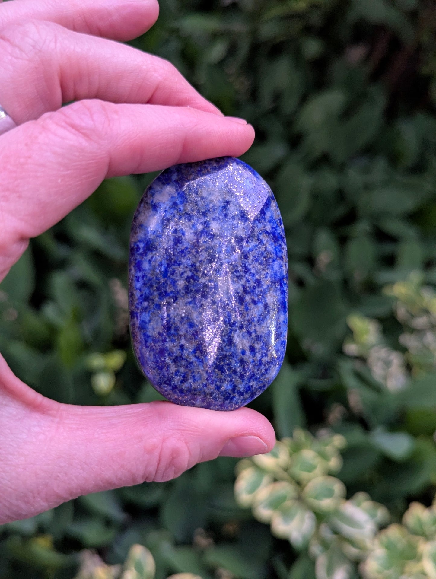 Lapis Lazuli Palm Stone | Multiple Sizes |