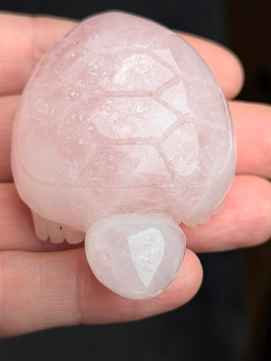 Front and top angle of a polished 60mm Rose Quartz turtle carving resting in a hand, displaying soft pink translucency