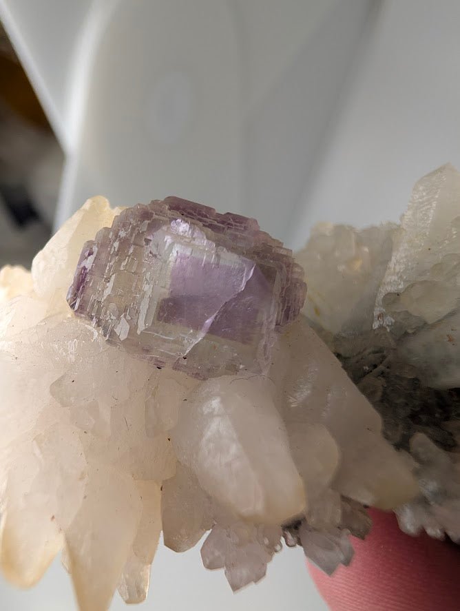 Shangbao Fluorite with Quartz – UV Reactive Collector’s Specimen - Legacy Crystals and Minerals