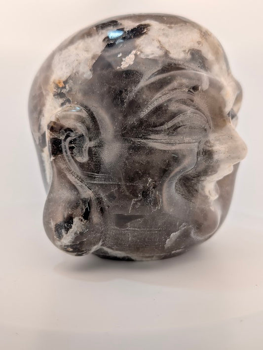 Right profile showing ear details and reflective mica planes