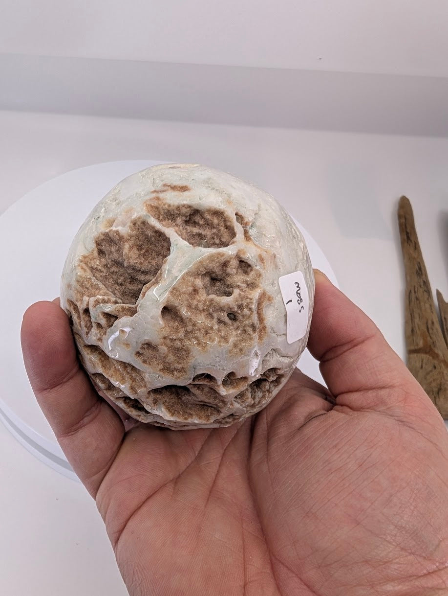 Base view of a polished tree agate egg with natural cavity