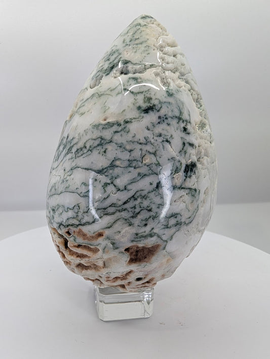 Side view of a large tree agate egg showing white chalcedony and green branching patterns