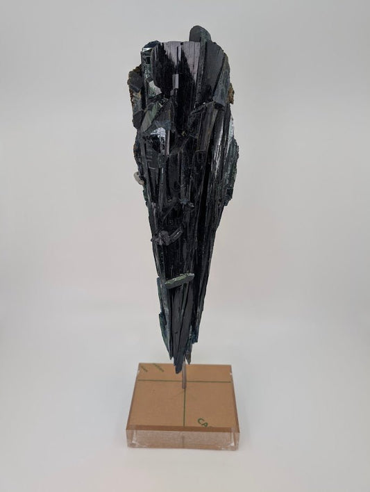 Vivianite Specimen - 1.9kg, 38cm Tall - Cabeca do Cachorro Claim, Amazonas, Brazil - Legacy Crystals and Minerals