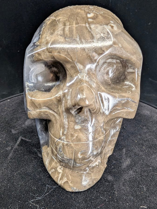 Angled front view of Volcano Agate skull