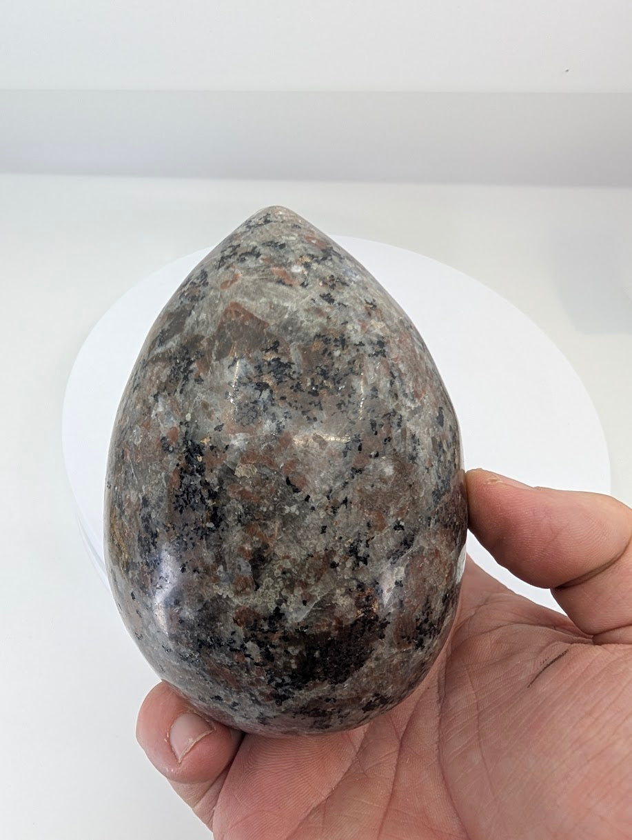 Hand-held yooperlite egg showing size scale and polished surface