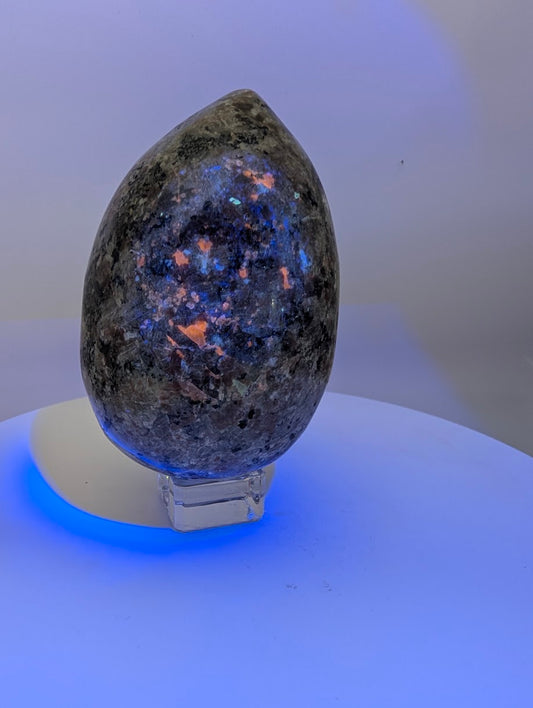 Yooperlite egg glowing orange under ultraviolet light due to sodalite