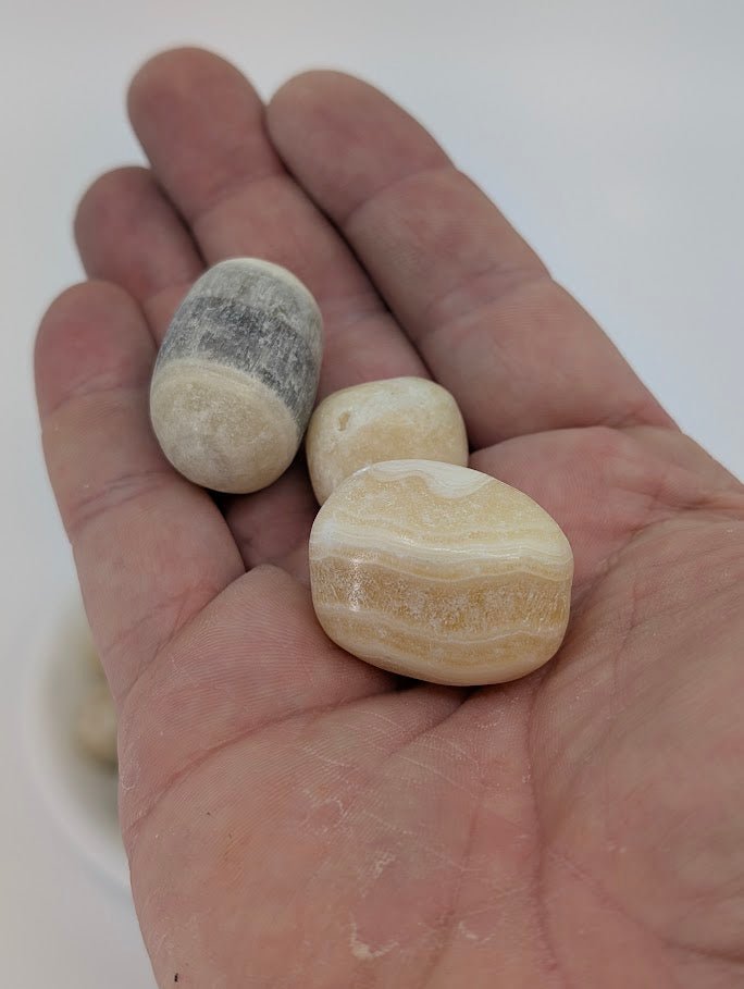 Zebra Calcite tumbled stones in hand for size reference