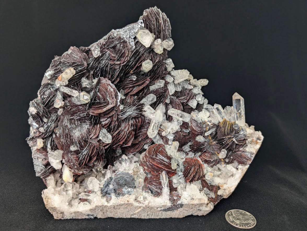 Museum-Grade Magnetic Iron Rose Hematite (Mushketovite) with Quartz – Jinlong Hill, Guangdong, China