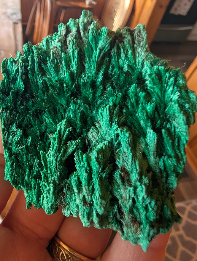 Malachite from Katanga Copper Crescent, Haut-Katanga, Democratic Republic of the Congo