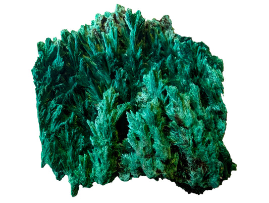 Malachite from Katanga Copper Crescent, Haut-Katanga, Democratic Republic of the Congo