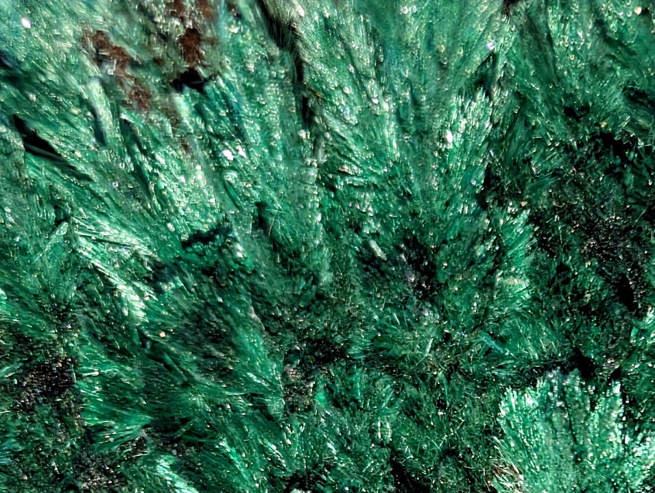 Malachite from Katanga Copper Crescent, Haut-Katanga, Democratic Republic of the Congo