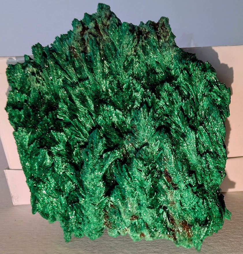 Malachite from Katanga Copper Crescent, Haut-Katanga, Democratic Republic of the Congo