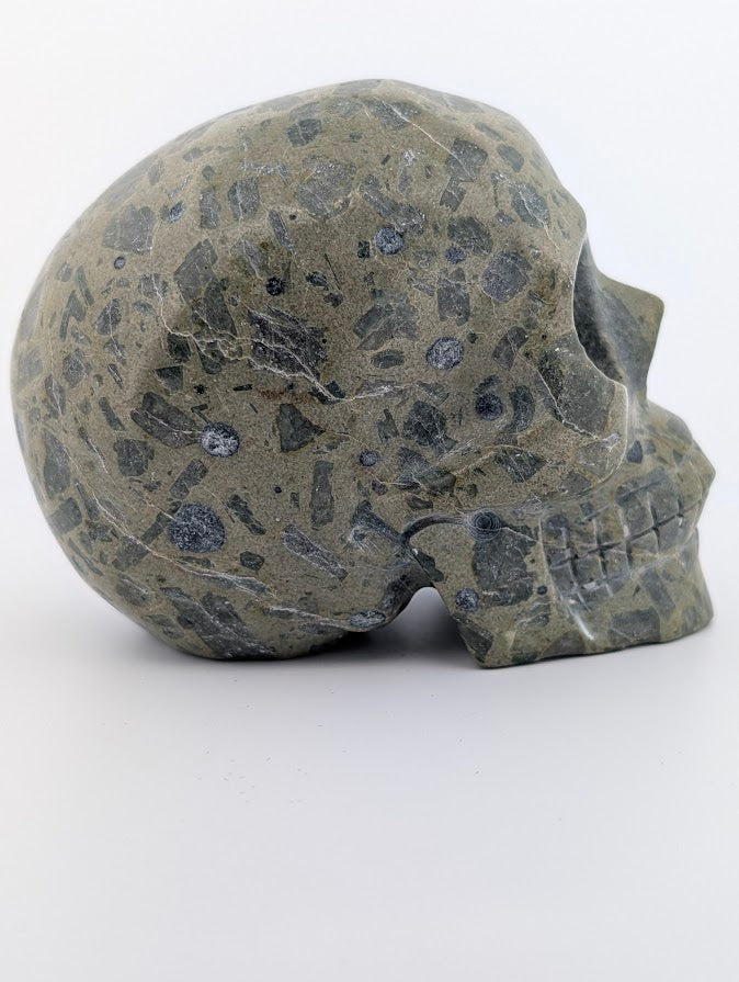 Rainforest Jasper Crystal Skull ~500g hand-carved rhyolite jasper carving