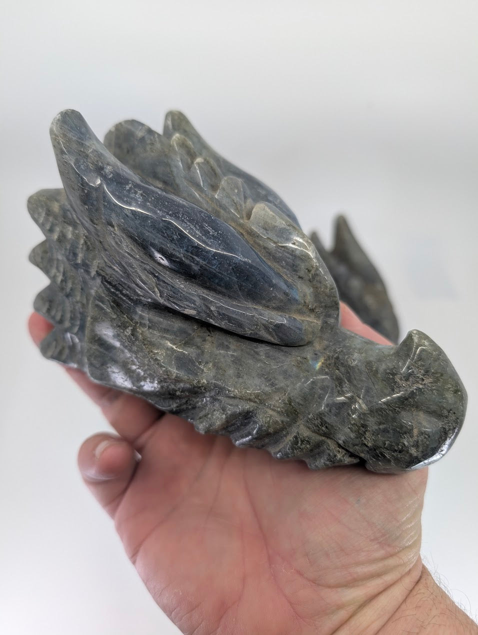 Front/side view of Labradorite Dragon Head Variant A, 1.27kg, with blue labradorescence