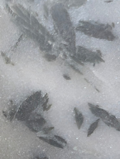 Macro photograph of actinolite inclusions in quartz showing the diagnostic shredded and splintered crystal terminations.