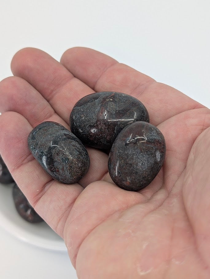 African Bloodstone tumbled stones in hand for size reference