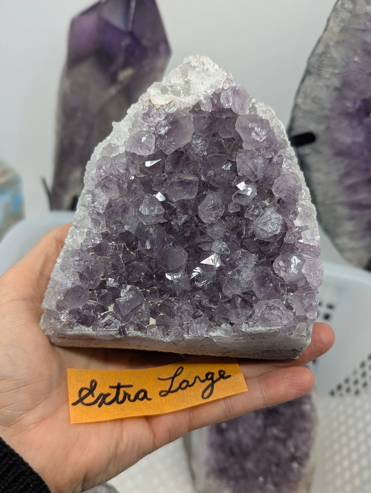 Natural Amethyst cut base vug in Extra Large held in hand, showing an arched cavity of deep purple quartz crystals framed by a white quartz rim on a cut basalt base.
